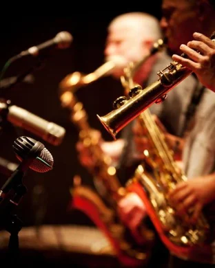 Mike Phillips
