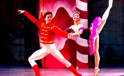 Ballet Theatre Of Maryland