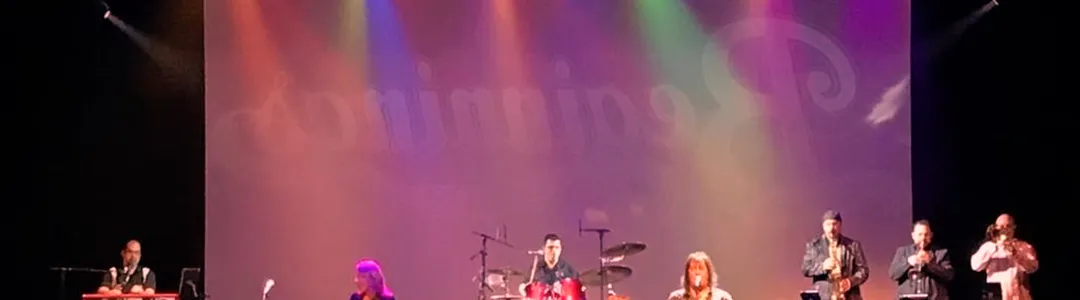 Beginnings - A Tribute To Chicago