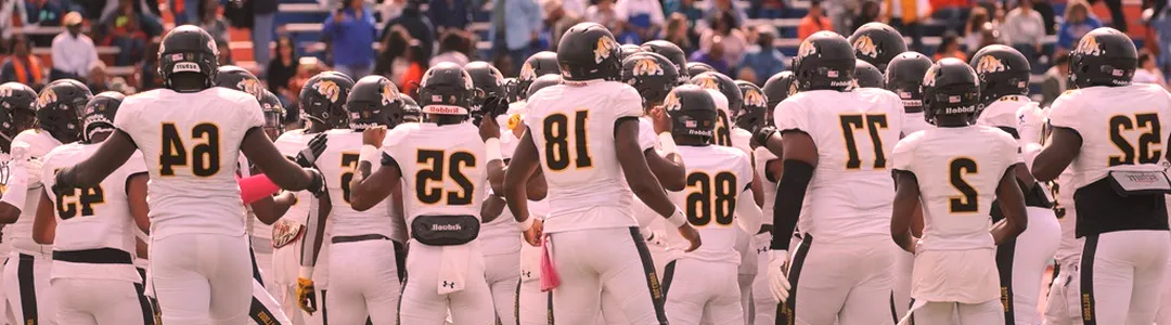 Bowie State Bulldogs