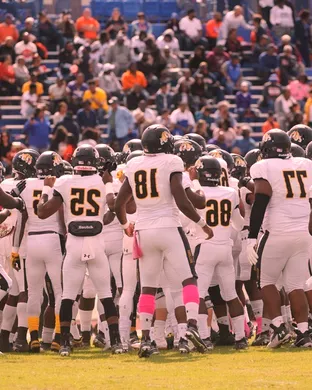 Shaw University Bears