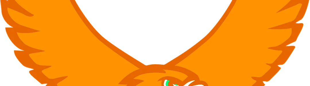 Lehigh Mountain Hawks