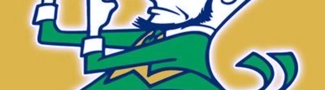 Notre Dame Fighting Irish