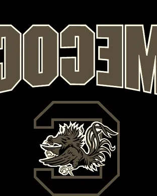 South Carolina Gamecocks vs. Navy Midshipmen