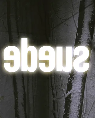 Live concert by Suede