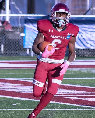 Virginia Union Panthers