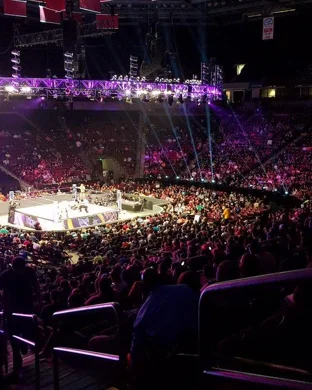 American University Eagles Wrestling